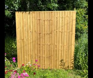Closeboard panel 3'0 x 6'0 (100mm F/E) G