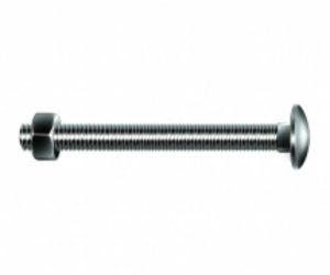 M10 x 150 BZP coach bolt & nut