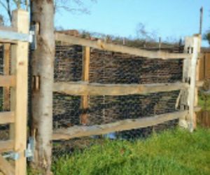 9'6" Cleft Chestnut Rail