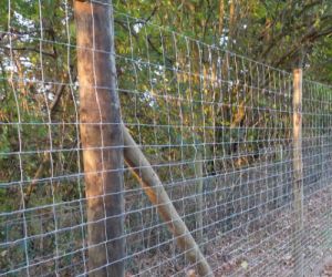 L23/200/15  50m  Deer Netting 2.0m high