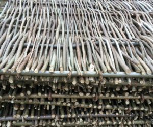 Imported Hazel Hurdle 4' x 6'