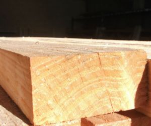 3.6m  47 x 100 Untreated Larch