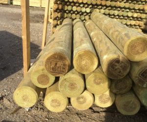 1.2m  100mm machined pole UC4 treated