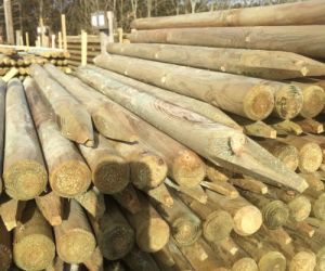 1.8m x 50mm machined post treated